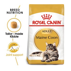 Maine Coon Adult
