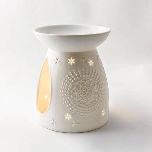 Starlight 491, blóm