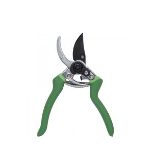 Handklippur Ribiland - grænar