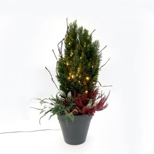 Útiskreyting með greinaljósi