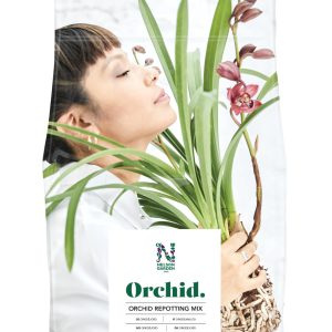 Orchid 4L