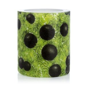 Hekla kerti Krækiberjalyng