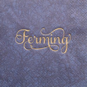 Dark blue sléttar servíettur - gyllt letur