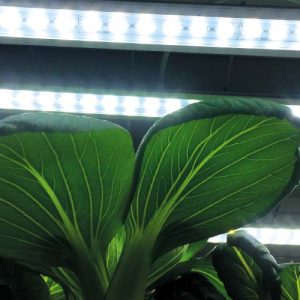 Plöntuljós LED Nr 2, 23W 85cm