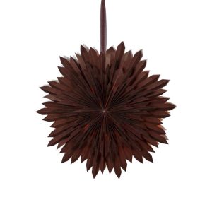 Ice pappastjarna - brún