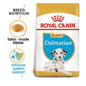 Dalmatian Puppy - 12 kg