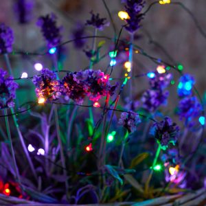 Knirke 80 ljósa sería, græn snúra - marglit ljós