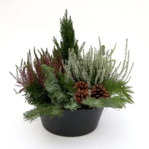 Leiðisskreyting 33 cm með könglum