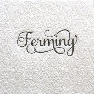 Pearl wihte upphleyptar servíettur - svart letur