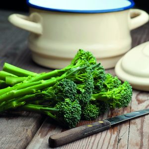 Spergilkál - Green Sprouting