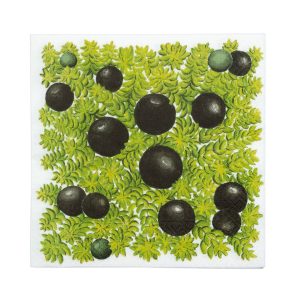 Hekla servíettur Krækiber