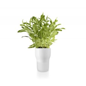 Eva Solo sjálfvökvandi pottur, hvítur