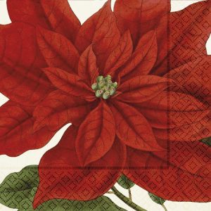 Servíettur jólastjarna