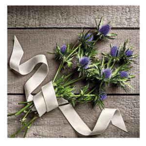 Alpaþyrnir kort (lítið)