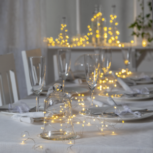 Dew Drop 100 LED ljós, silfur vír - hvít/marglit