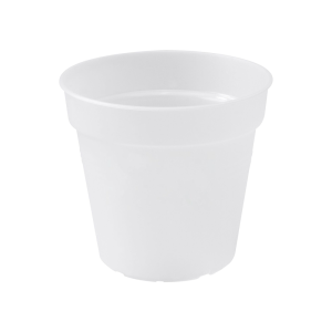 Green basic orkideupottur frá Elho - glær