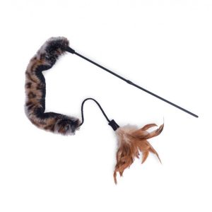 Fun and feather super teaser