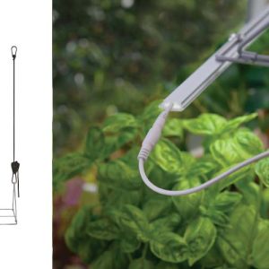 Hengi fyrir gróðurljós