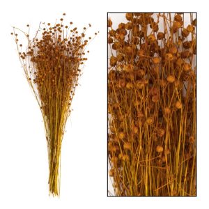 Vlas bunch strá - brún