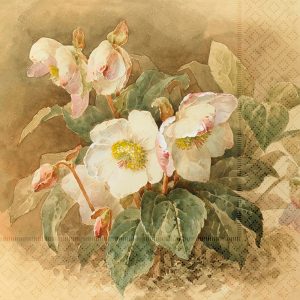 Servíettur - brúnar með blómum