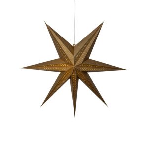 Point pappastjarnan - margir litir