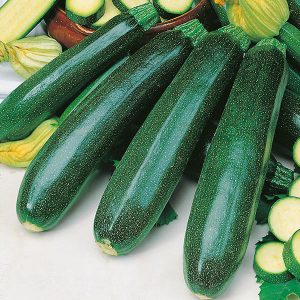 Kúrbítur - Zucchini