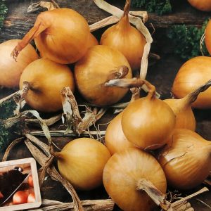 Laukur - Gourmet Golden