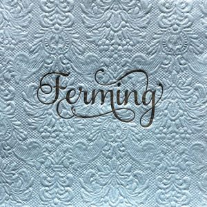 Pale blue upphleyptar servíettur - svart letur