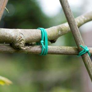 Uppbindiþráður 50m