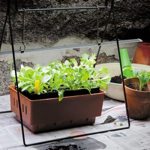 Borðstandur fyrir gróðurljós