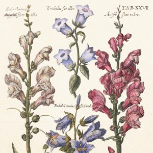 Servíettur með blómamyndum 33x33