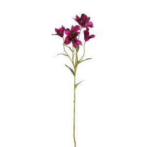 Alstromeria 62cm - fjólublá