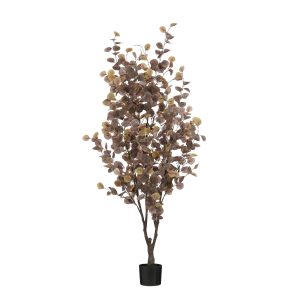 Eucalyptus í potti, 180cm - bronz