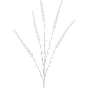 Astilbe grein, 76 cm - hvít