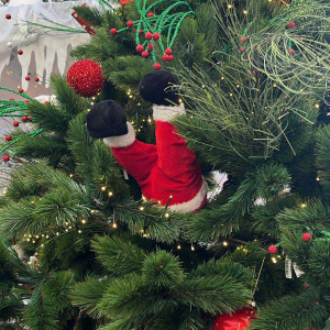 Jólasveinabuxur á jólatré