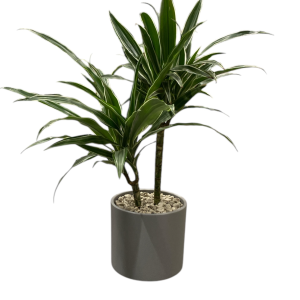 FT Pottur 50x39cm dökkgrár