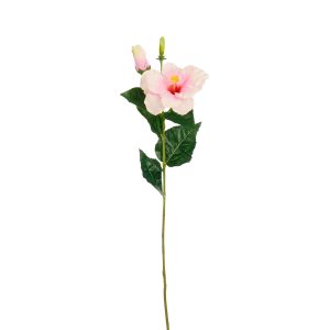 Hibiscus gerviblóm, 60 cm - bleik