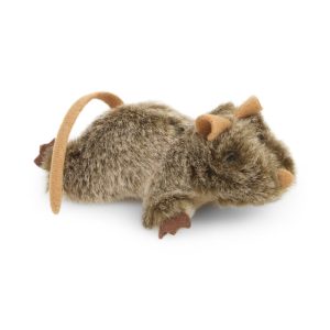 Mús með catnip