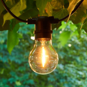 Tobias perur glærar