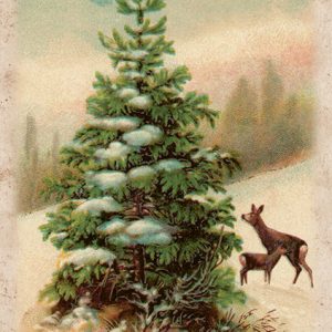 Jólatré og dádýr kort