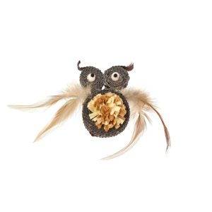 Ugla með fjaðravængi