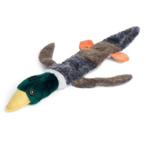 Bangsi Önd með tísti