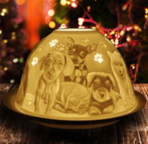 Kertastæði Starlight 447