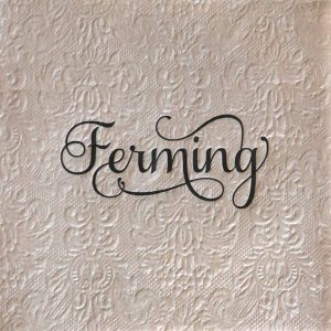 Sandlitaðar upphleyptar servíettur – svart letur