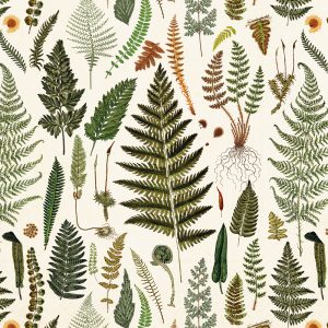 Servíettur 33x33 - Burkni