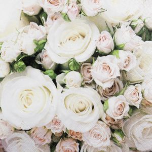 Servíettur 20 stk - Romant roses
