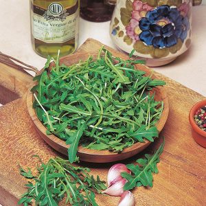 Klettasalat – Wild