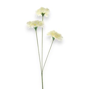 Zinnia 76cm - kremuð