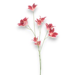 Lily Wild 86cm - rauð