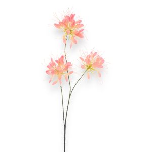 Spider Blómagrein 94cm - ferskjulituð